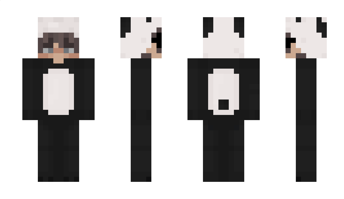 Nowise_ Minecraft Skin