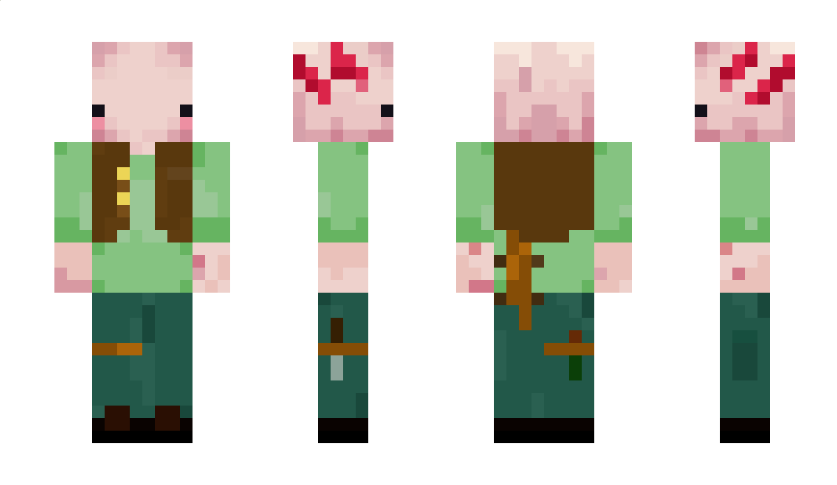 Dumpkiwi Minecraft Skin