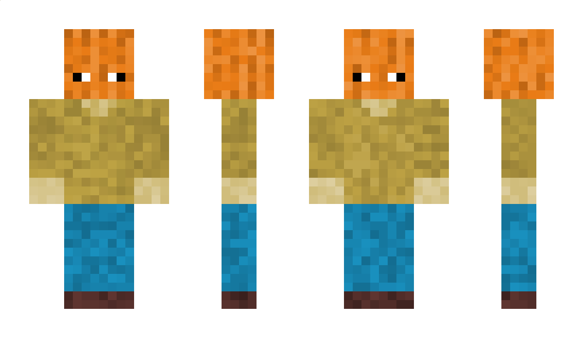 skateboard Minecraft Skin