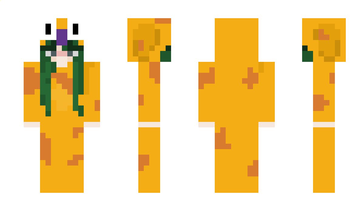 Pokemonjojo26 Minecraft Skin