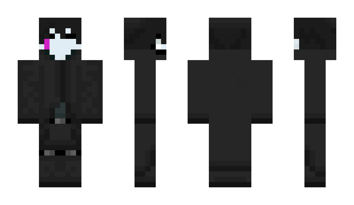 GEKKO Minecraft Skin