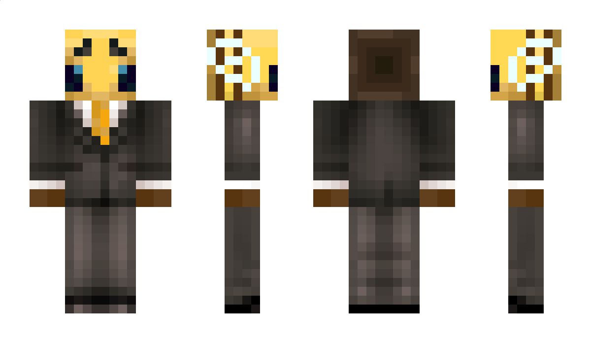 BeeTNT Minecraft Skin