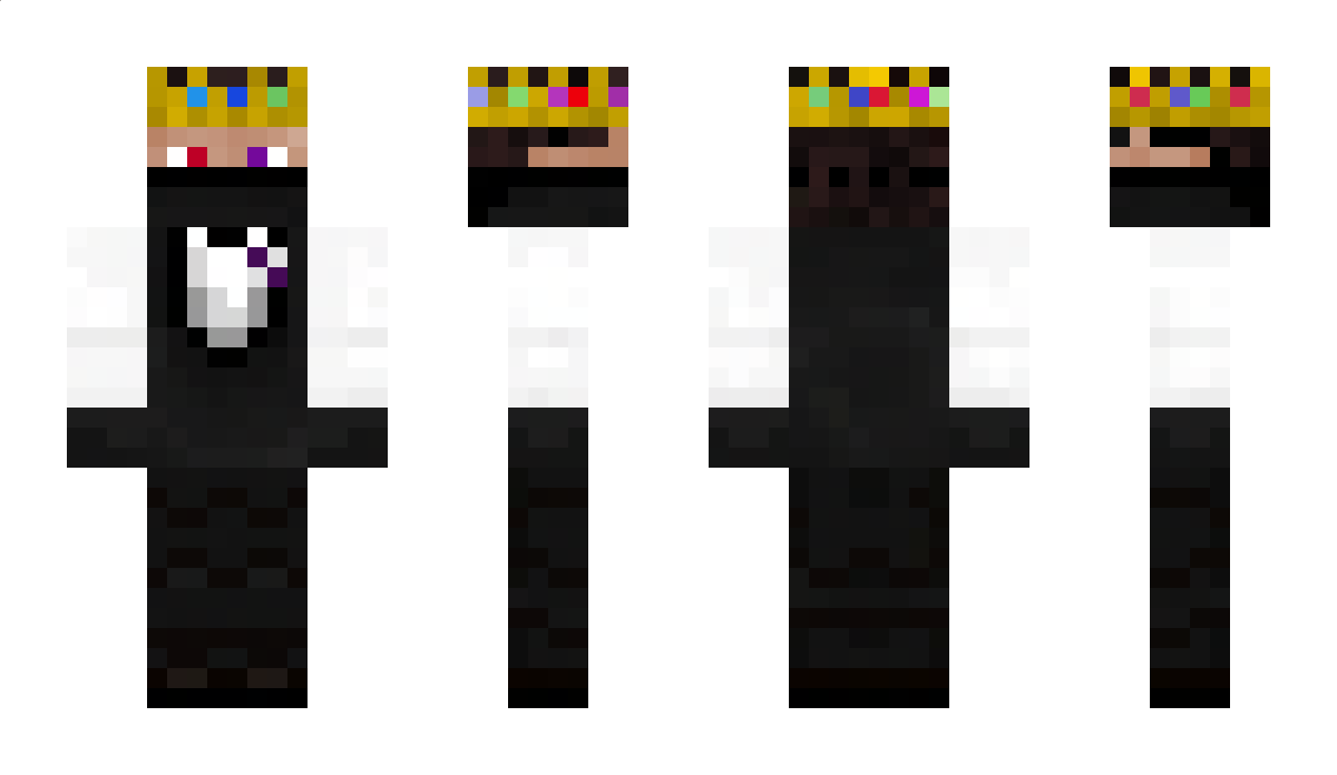 OwnPenguin Minecraft Skin