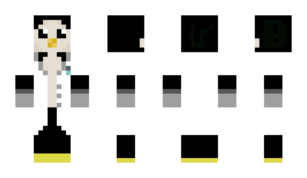 HULAPENGUIN Minecraft Skin