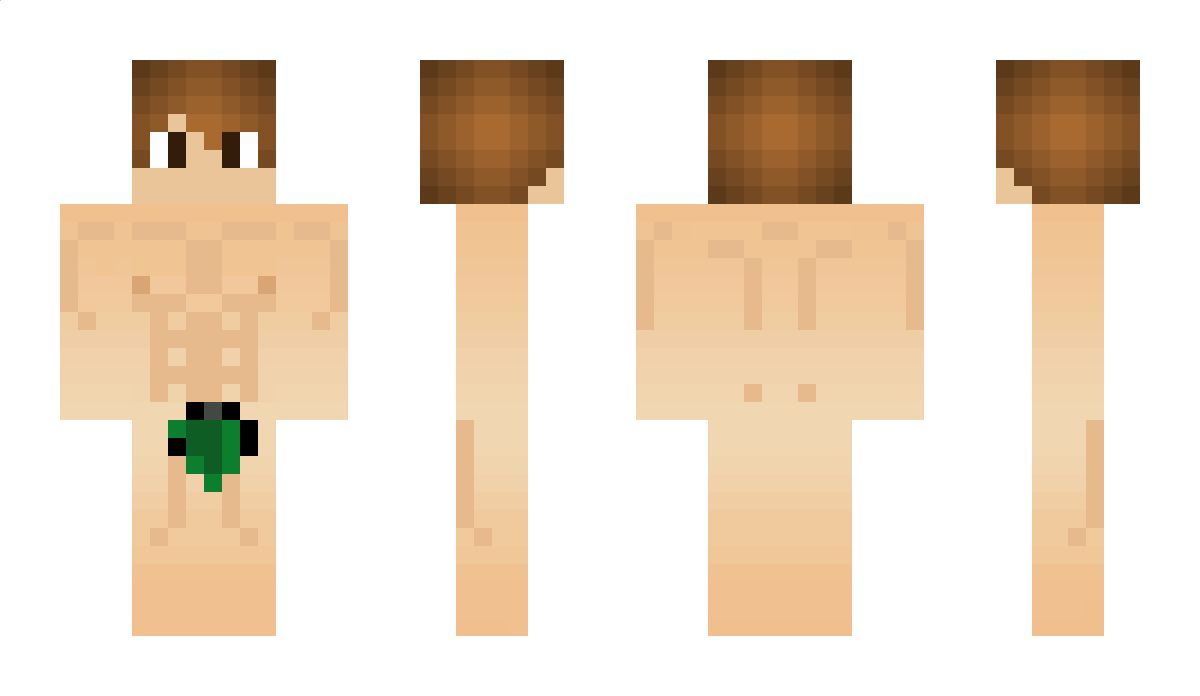 Fenyx_ Minecraft Skin