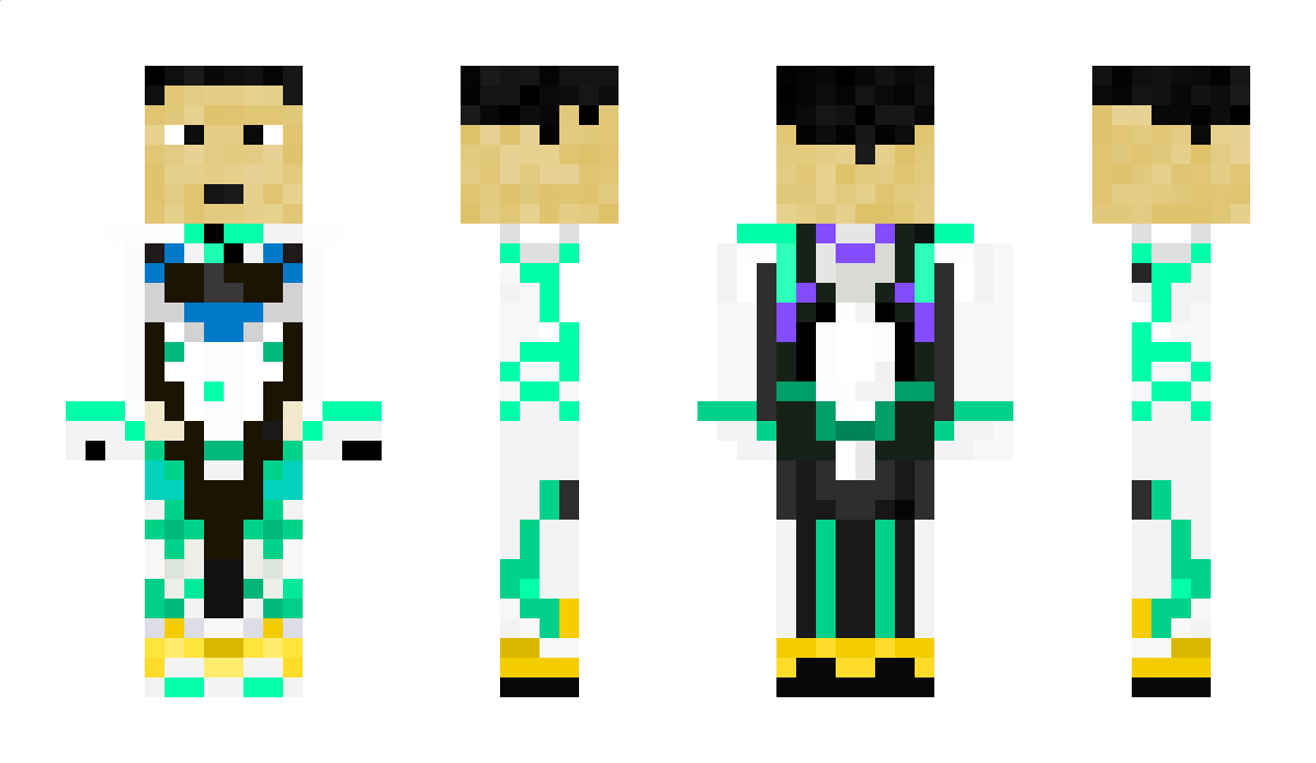 WEBWISE Minecraft Skin