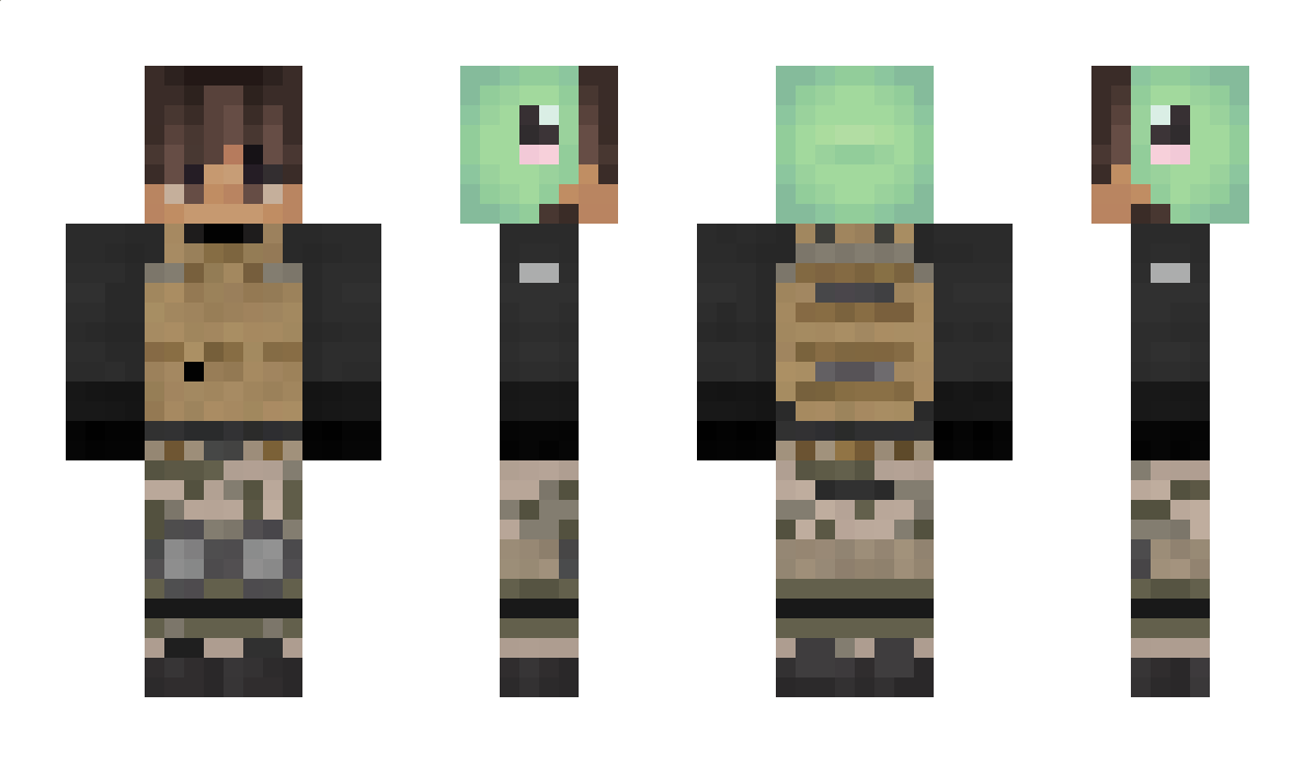 TurtlePilou Minecraft Skin