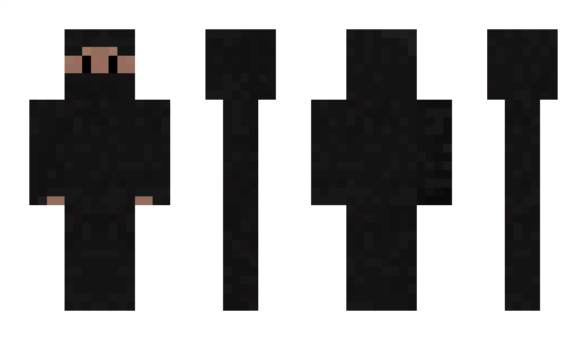 tigoo Minecraft Skin