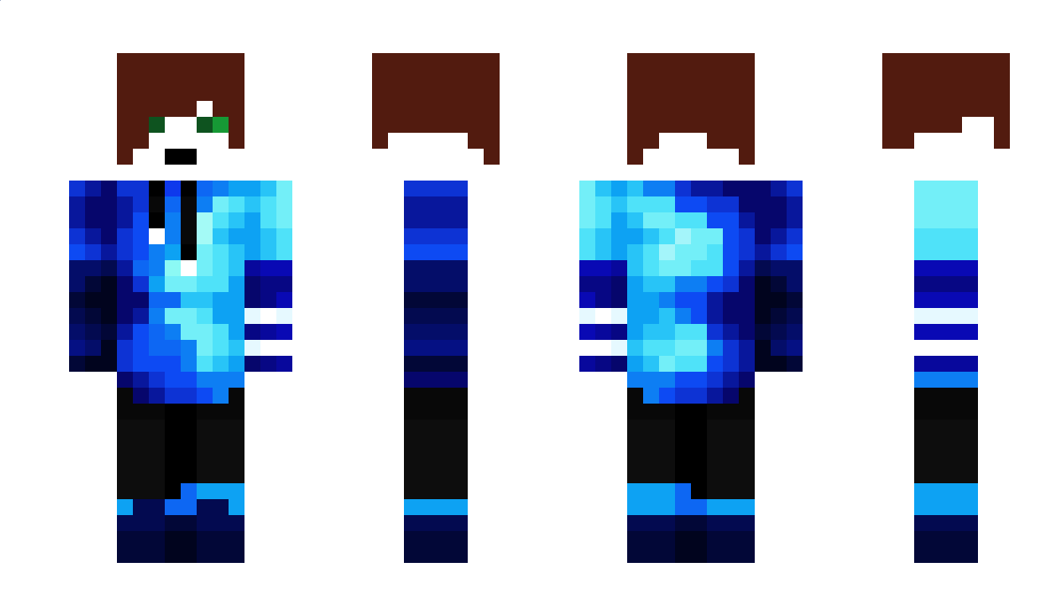 Robbidia Minecraft Skin