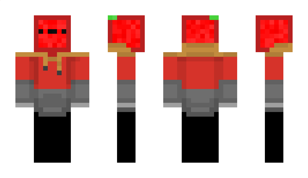 AcePippin Minecraft Skin