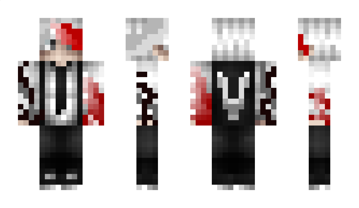 Vicontise Minecraft Skin