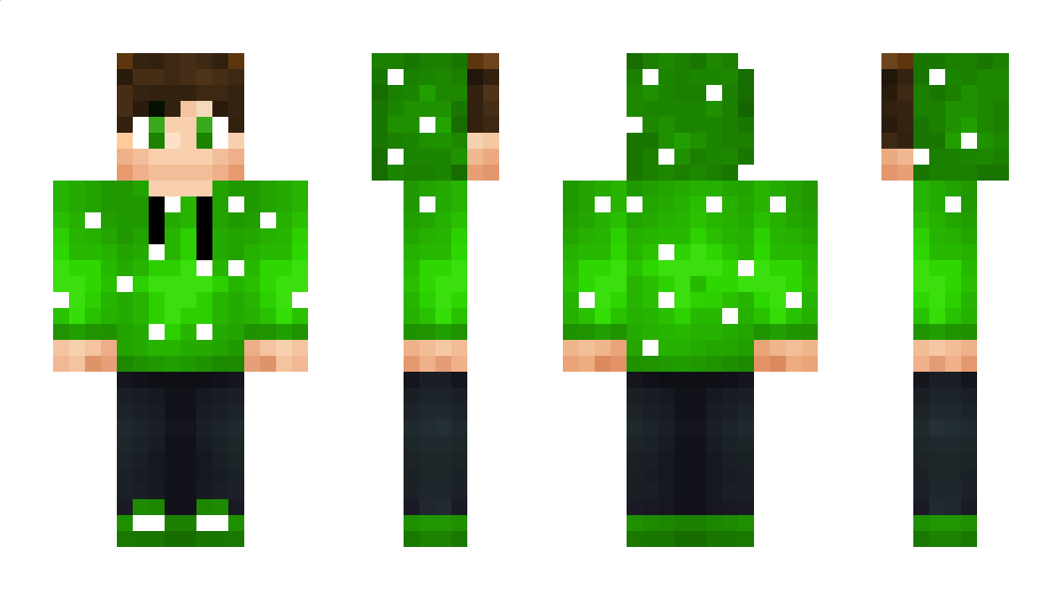 SQWERZ Minecraft Skin