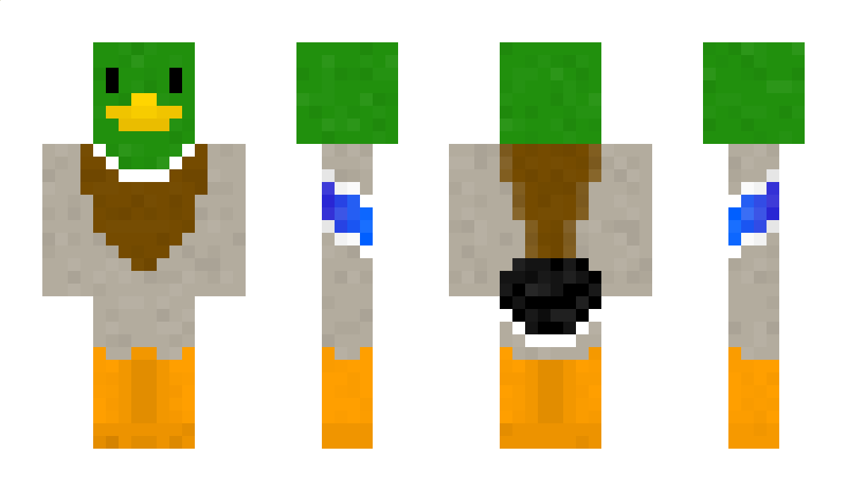 Mallard Minecraft Skin