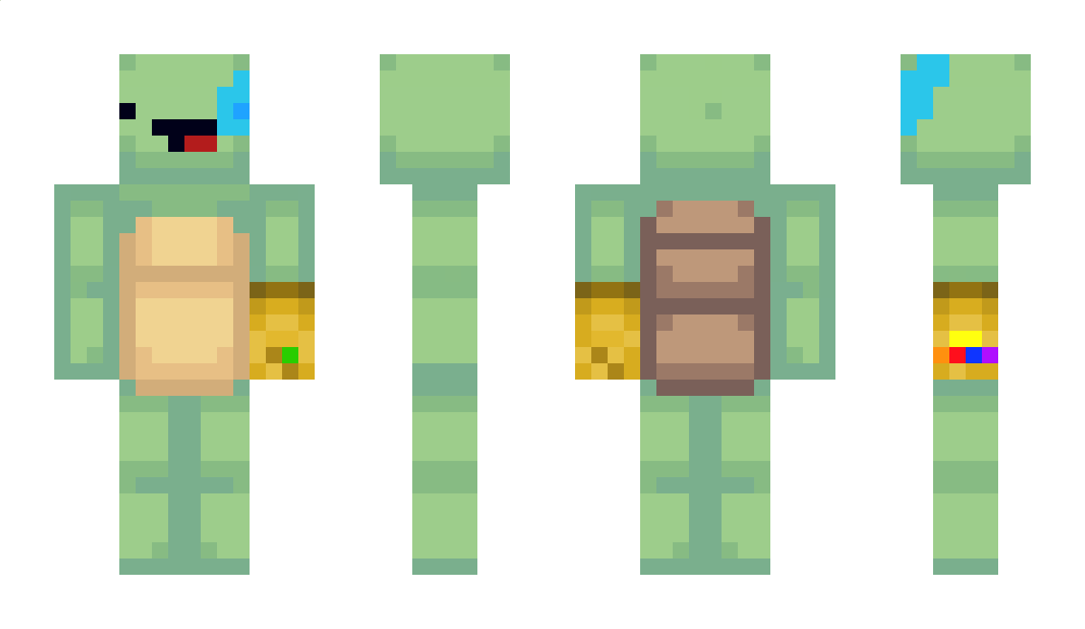 TurtleBoop Minecraft Skin