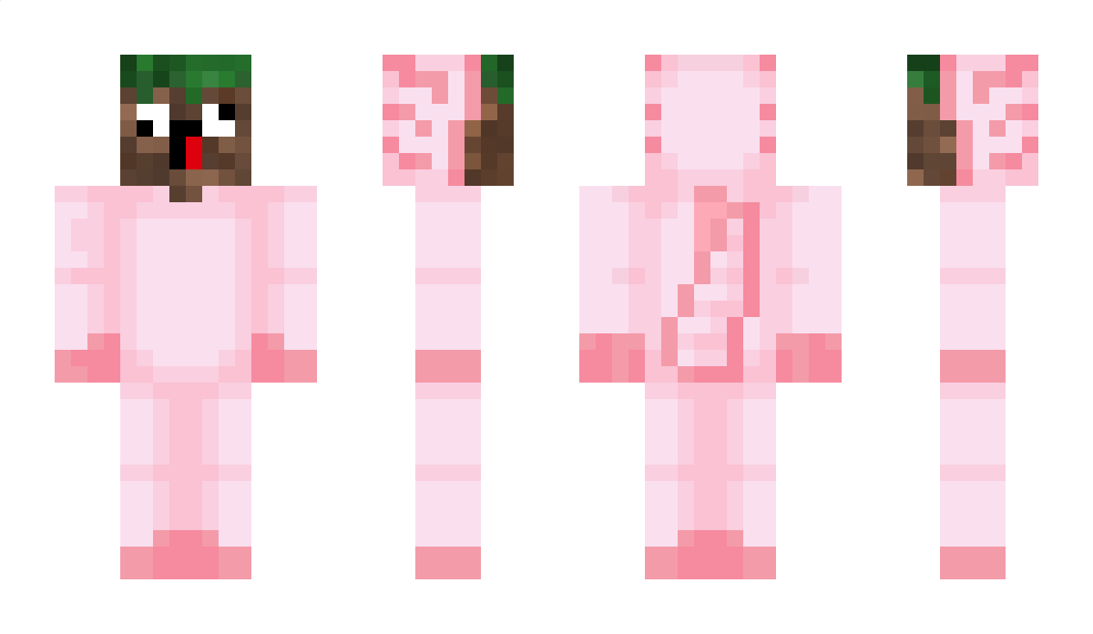 dirtboiii Minecraft Skin