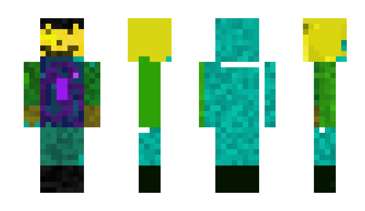 lame_bro Minecraft Skin