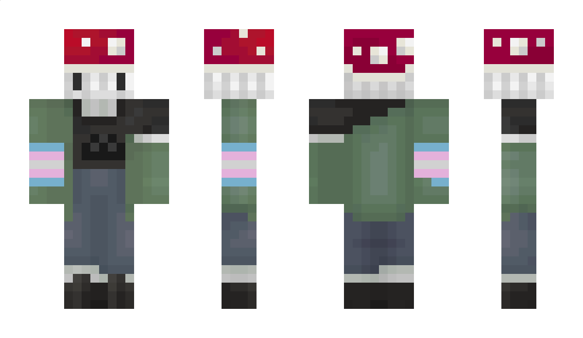 Arvenis Minecraft Skin