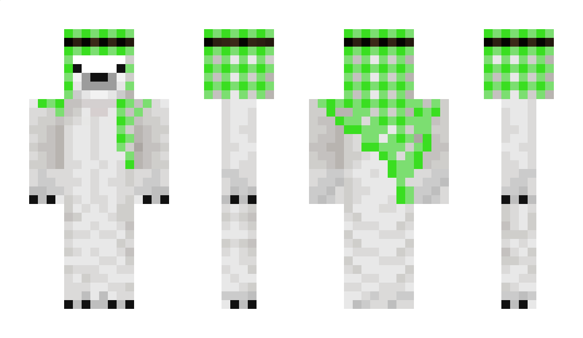 Ravocy1 Minecraft Skin