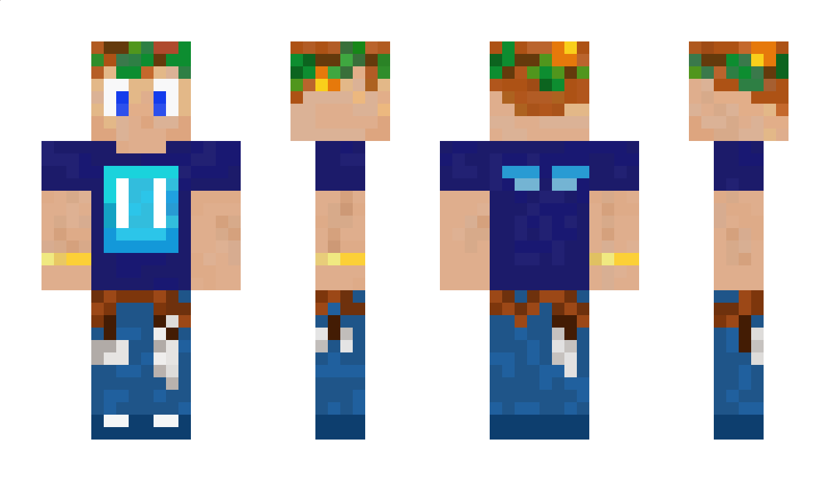 Shiny_head_689 Minecraft Skin