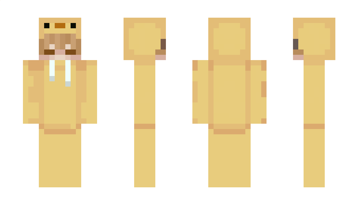 Duckyvolcano21 Minecraft Skin