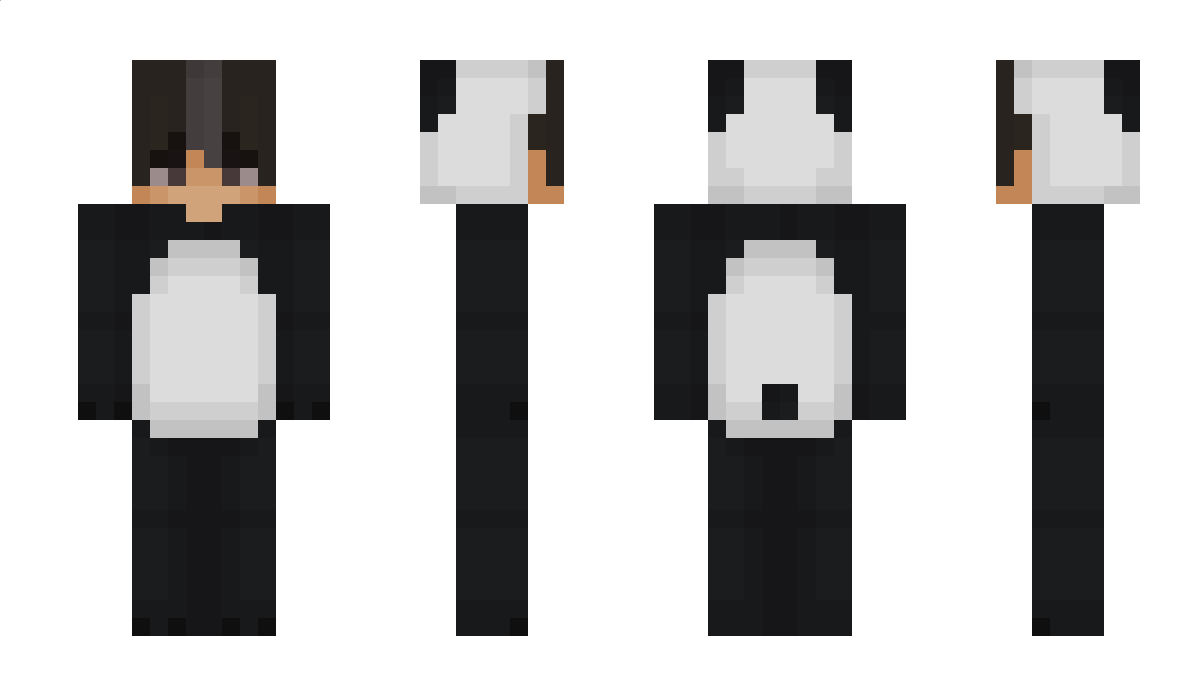 Remus2303 Minecraft Skin