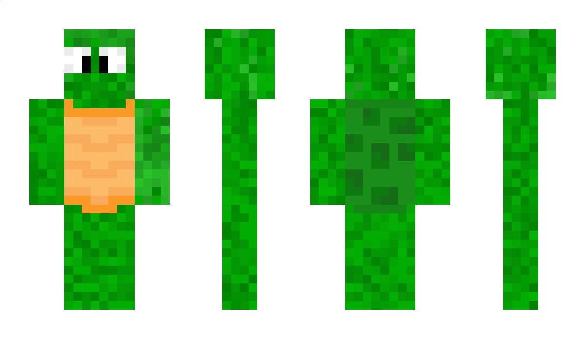 TurtleDerp Minecraft Skin