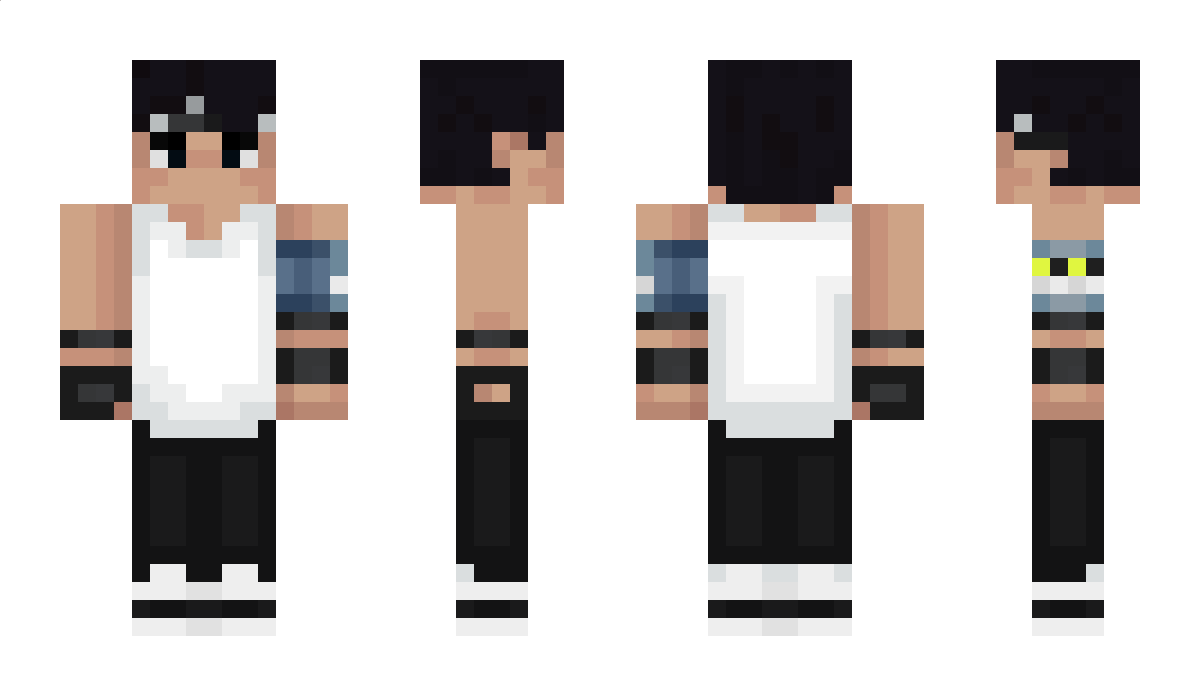 erinaceus_ Minecraft Skin