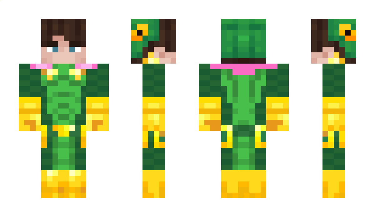 niksarat Minecraft Skin