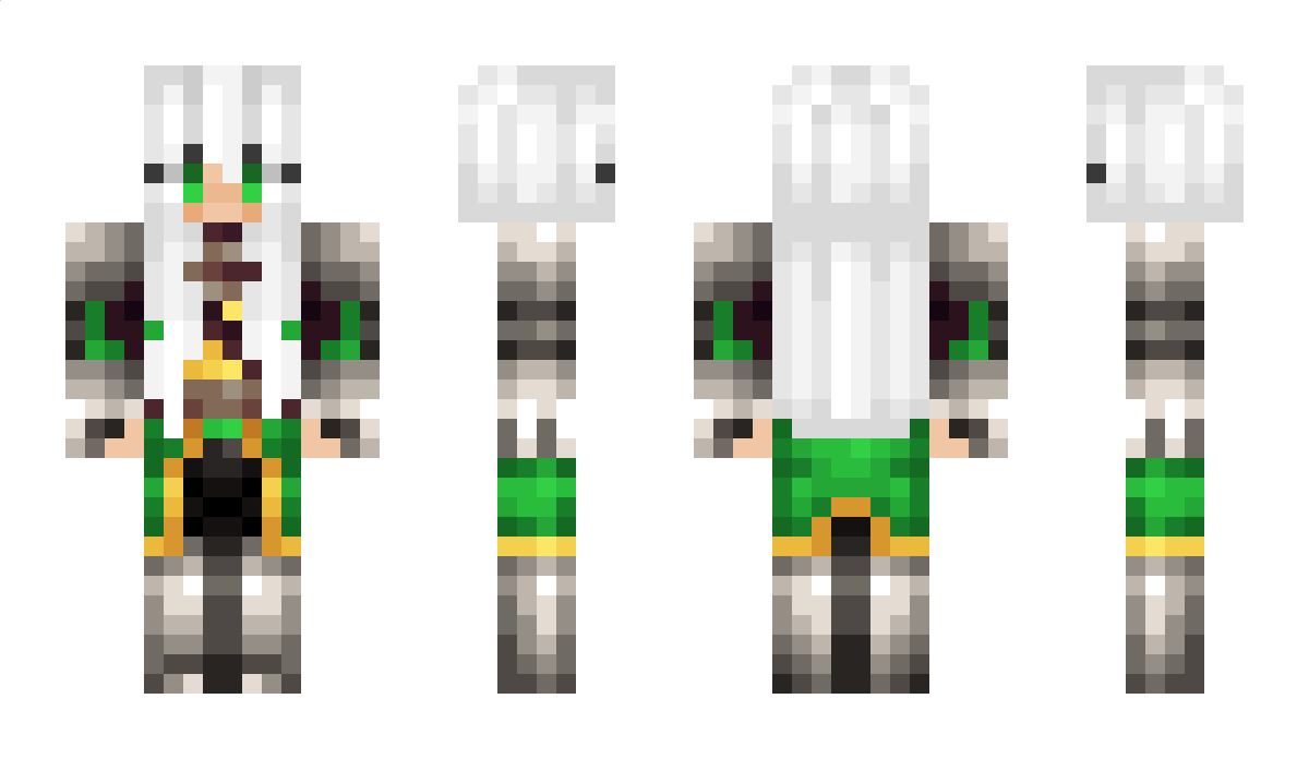 DerobautW Minecraft Skin