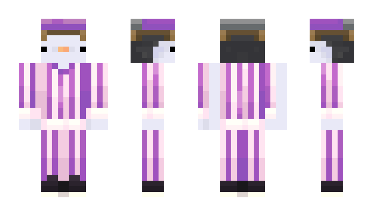 wise721 Minecraft Skin