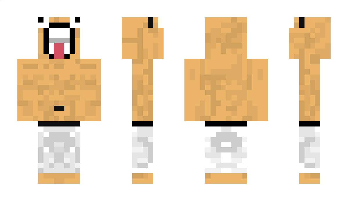 Fis Minecraft Skin