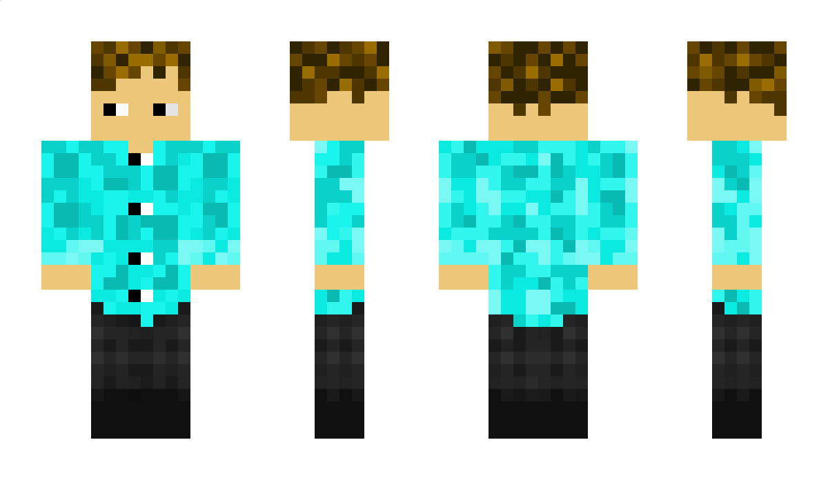 Legojuli Minecraft Skin