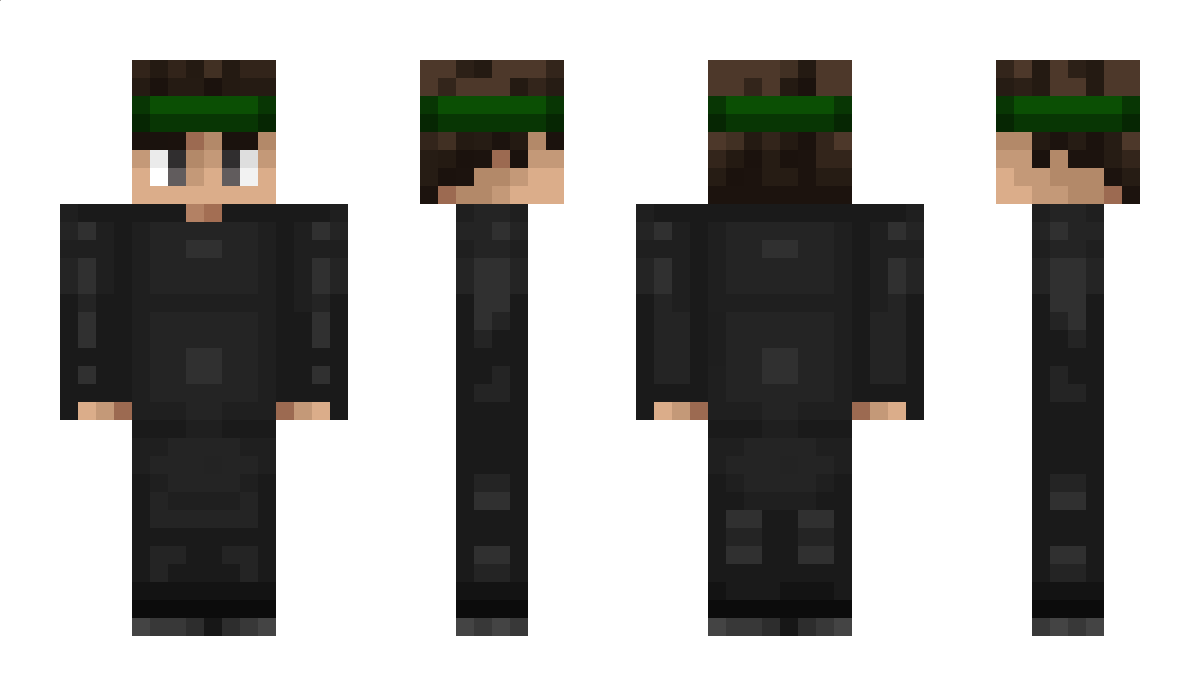 Fluxity Minecraft Skin