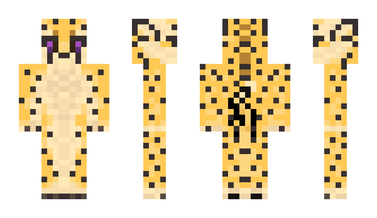 EckoMoire Minecraft Skin