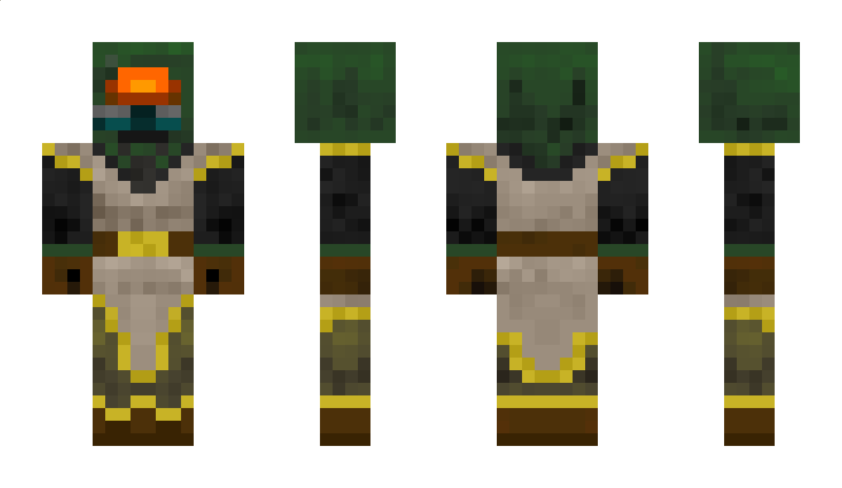 DragonRider19 Minecraft Skin