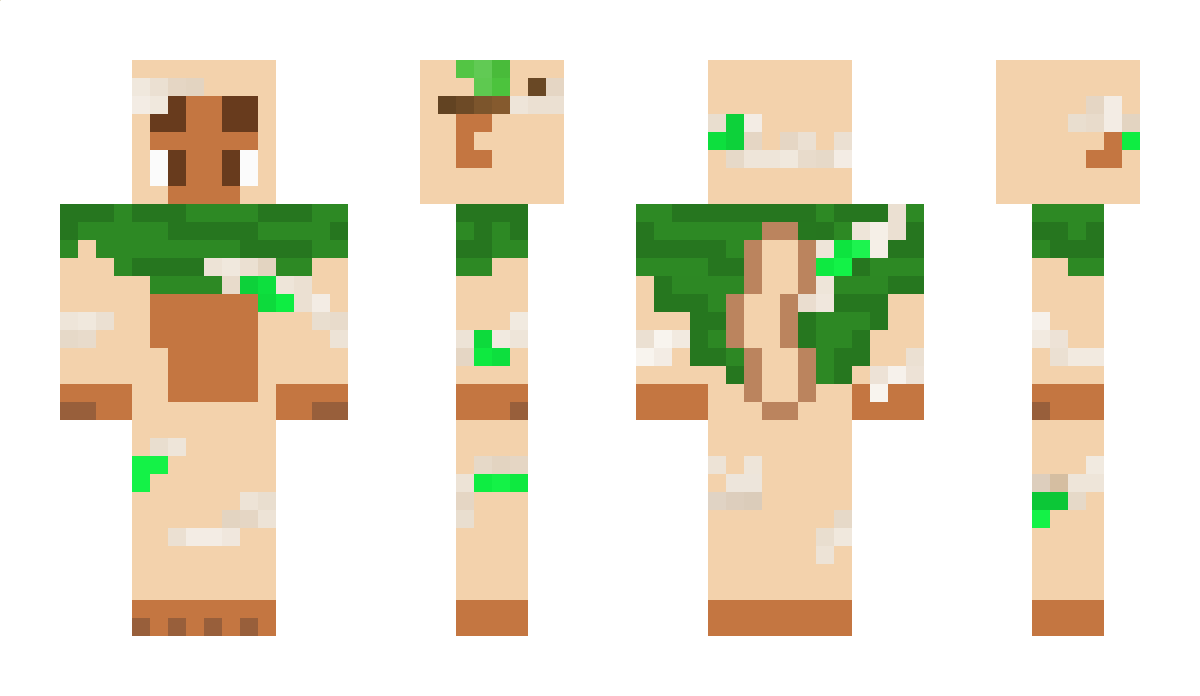 DvdsAnvs Minecraft Skin