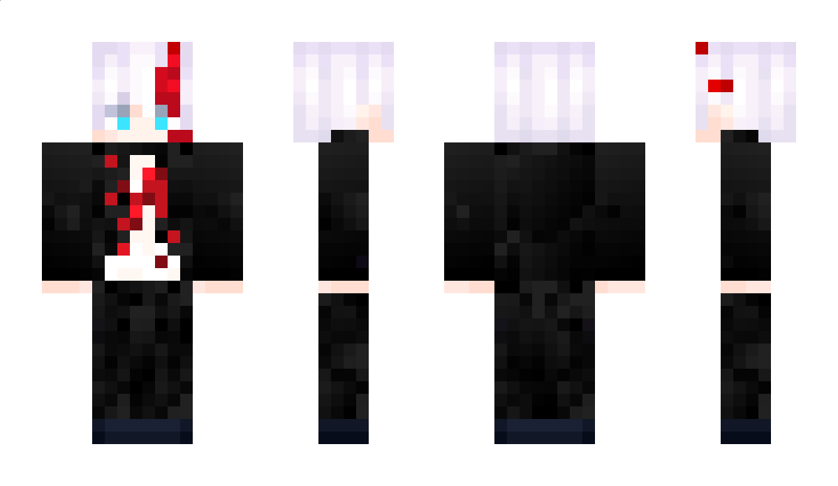 TeMatoUnOtaku Minecraft Skin