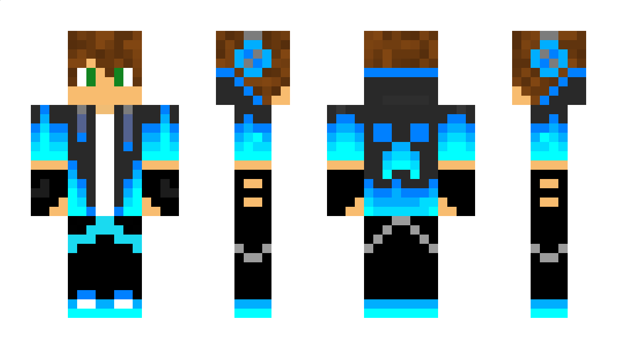 RONINJA Minecraft Skin