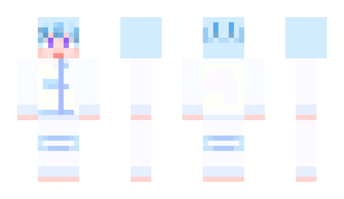 dolpin Minecraft Skin