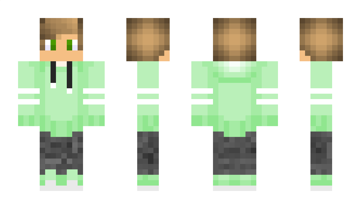 WildWolf24 Minecraft Skin