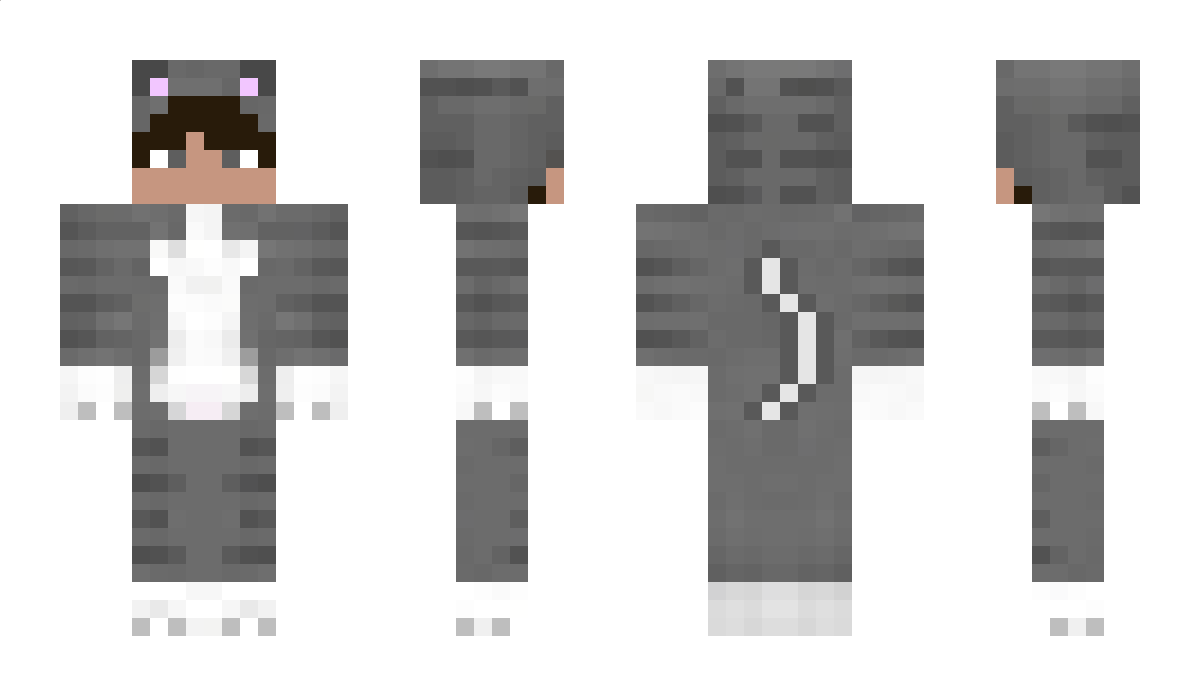 Aab1dd Minecraft Skin