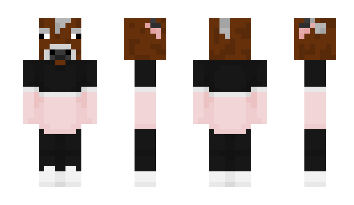 DoubleParadiddle Minecraft Skin