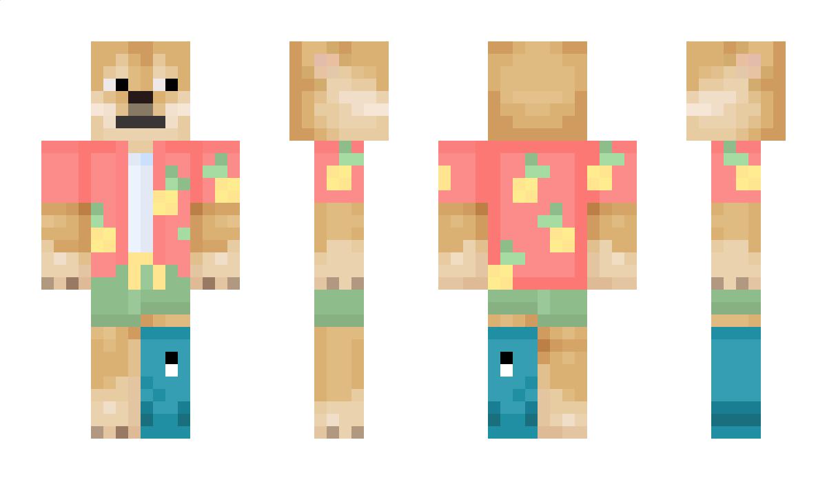 Tropicaldog Minecraft Skin