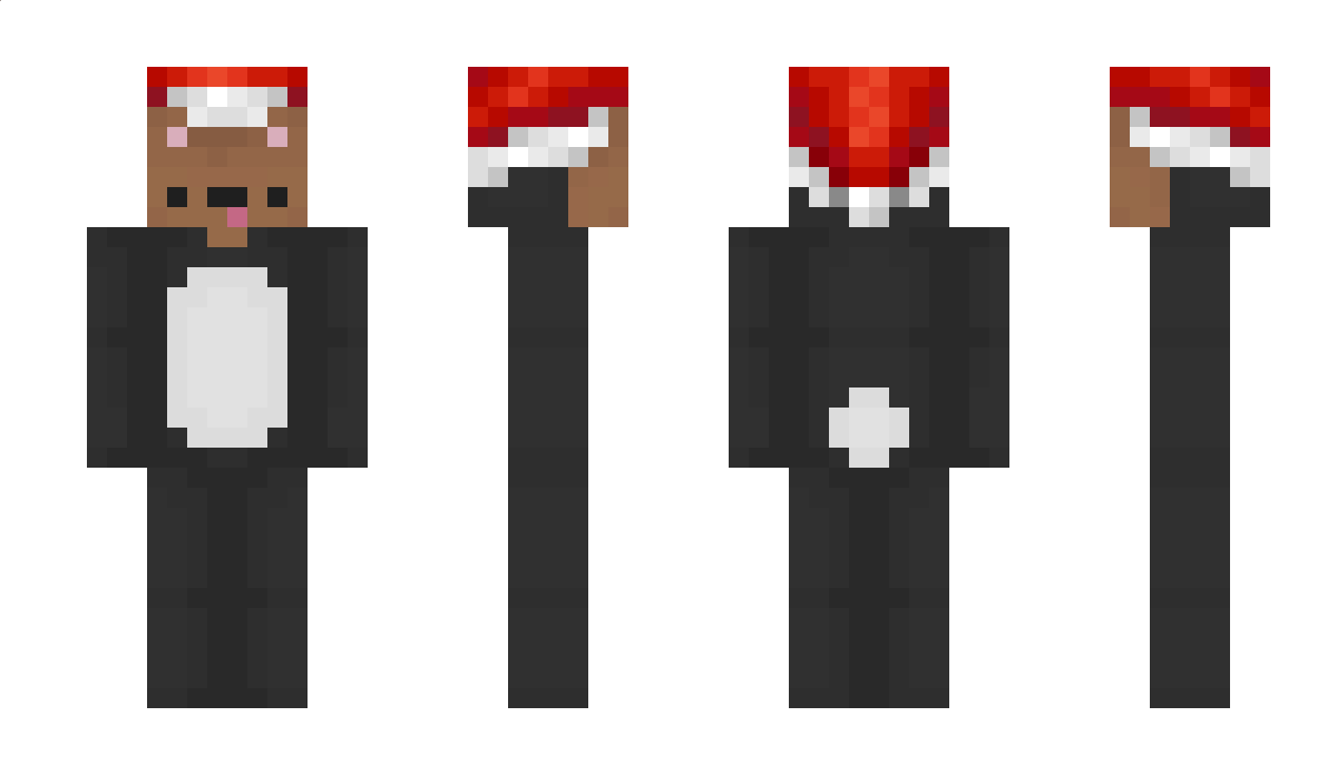 Sidneyplayzz Minecraft Skin