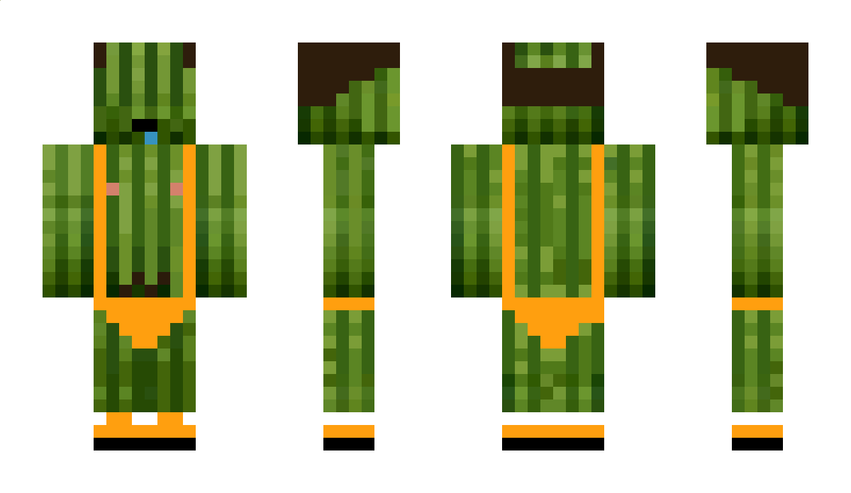 MrMelon Minecraft Skin