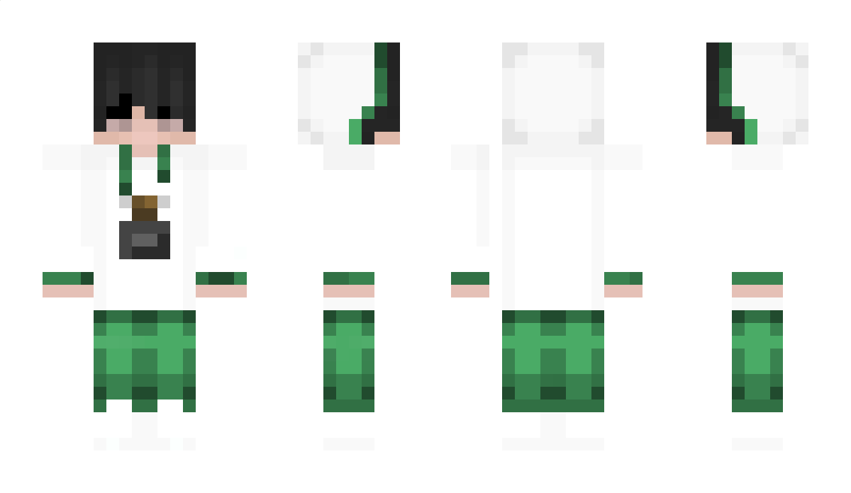 Ordinateur Minecraft Skin