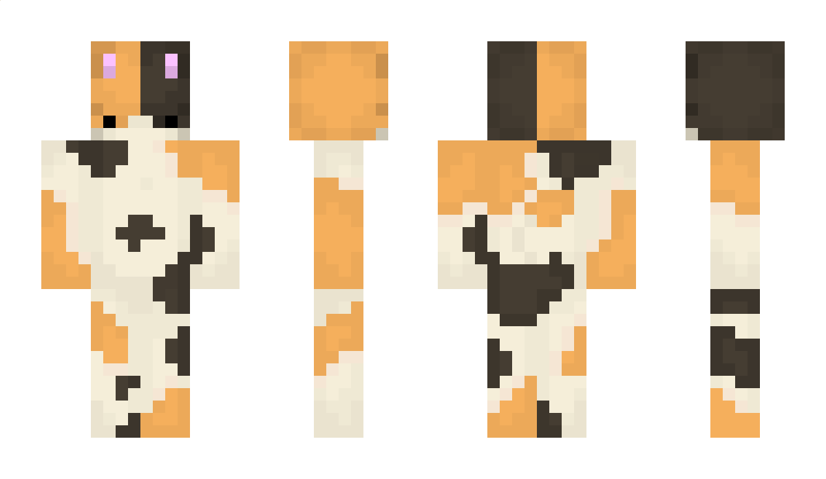 Crazyboy201212 Minecraft Skin