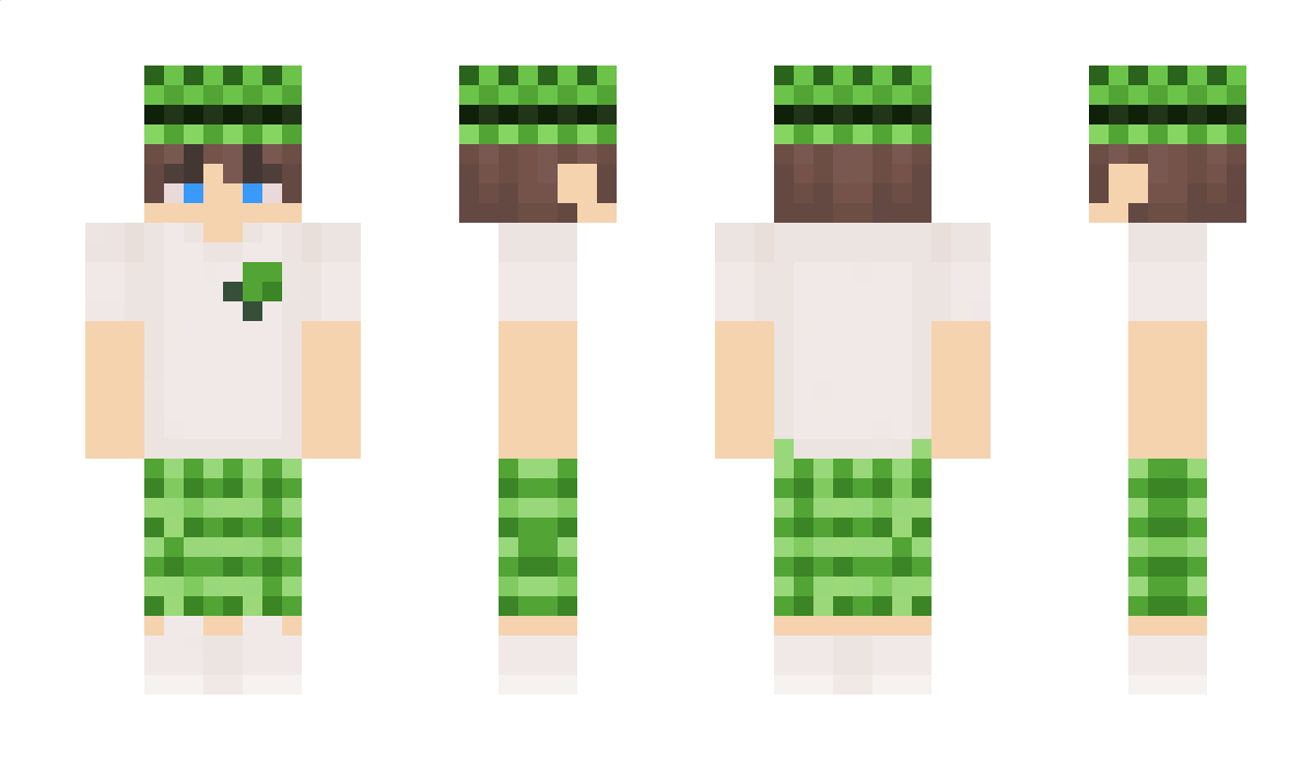 MST3R_BU1LD3R Minecraft Skin