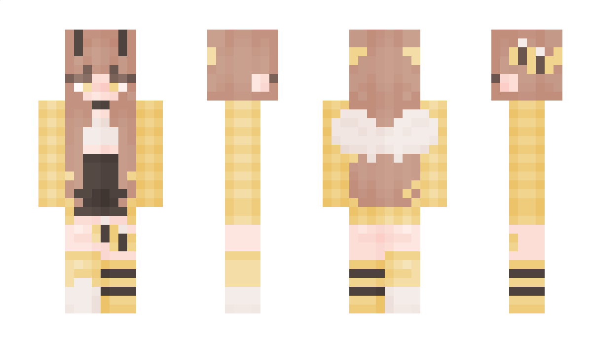 d33da Minecraft Skin