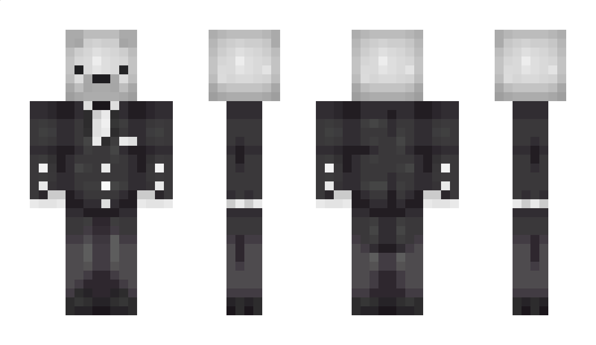 AntarcticBear1 Minecraft Skin